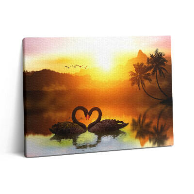 Vászonkép falra 80x60 Gyönyörű fekete hattyú a tavon