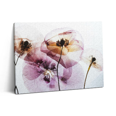 Vászonkép falra 80x60 Szárított mákvirágok