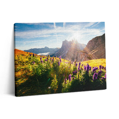 Vászonkép falra 80x60 Levendula rét