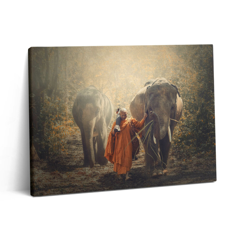 Vászonkép falra 80x60 Szerzetes és elefántok