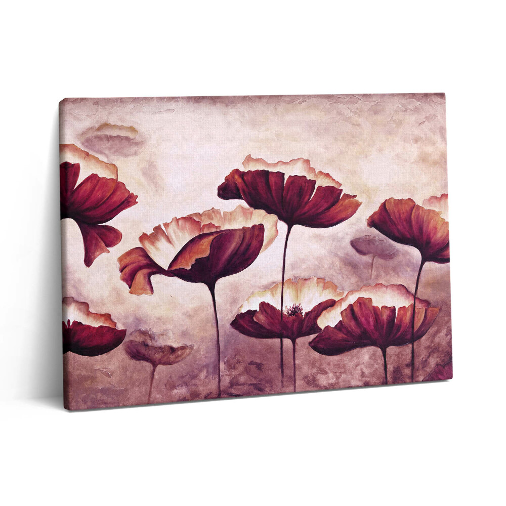 Vászonkép falra 80x60 Virágzó mákvirágok