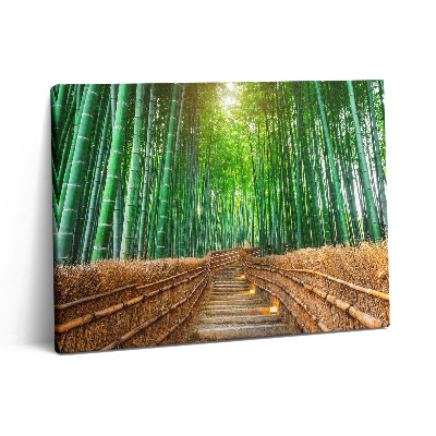 Vászonkép falra 80x60 Út egy bambuszos erdőben
