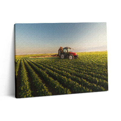 Vászonkép falra 80x60 Traktor permetez egy mezőn