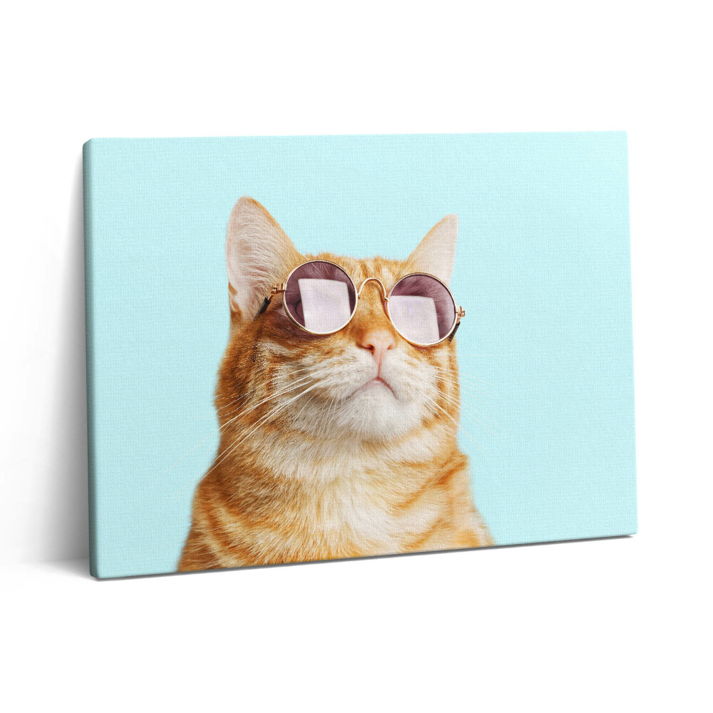 Vászonkép falra 80x60 Vicces macska szemüveggel