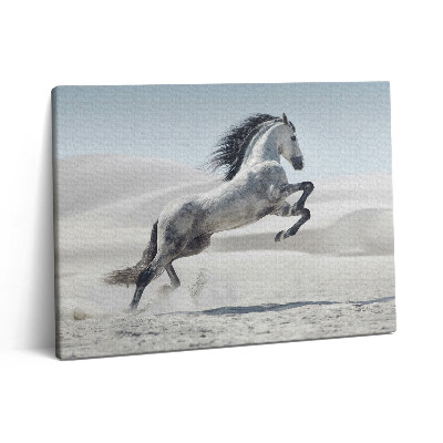 Vászonkép falra 80x60 Galoppozó fehér ló
