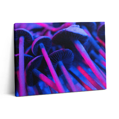 Vászonkép falra 80x60 Színes varázsgomba