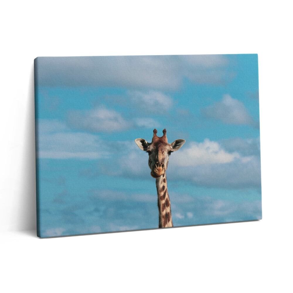 Vászonkép falra 80x60 Zsiráffej az égen