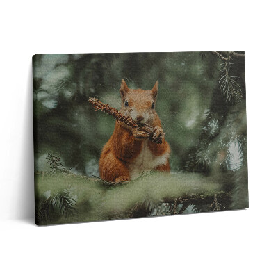 Vászonkép falra 80x60 Vadon élő mókus