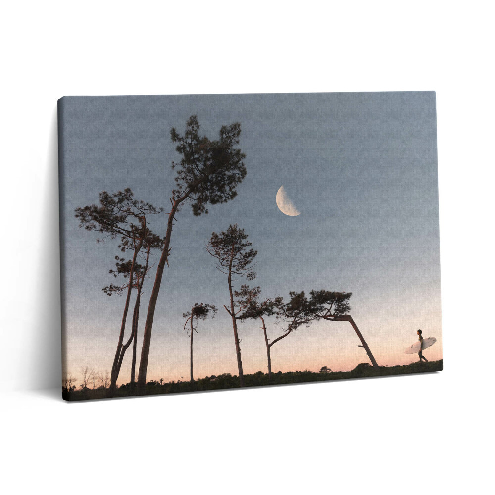 Vászonkép falra 80x60 Félhold és fák