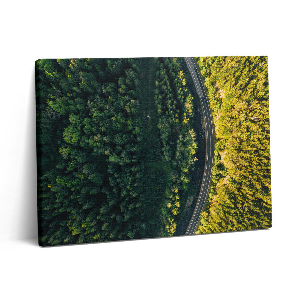 Vászonkép falra 80x60 Erdő drónról - Hóhegy