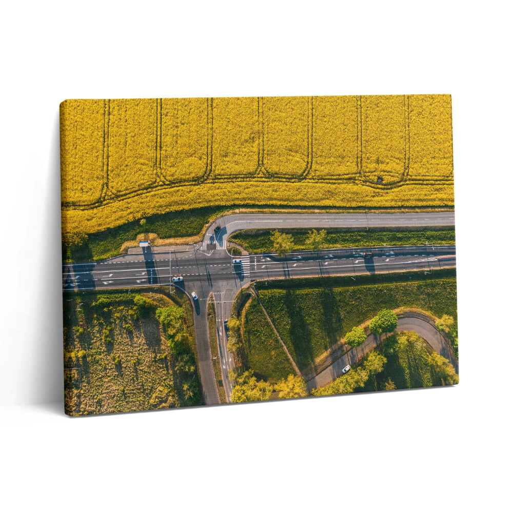 Vászonkép falra 80x60 Mezők egy drónról Poznanban