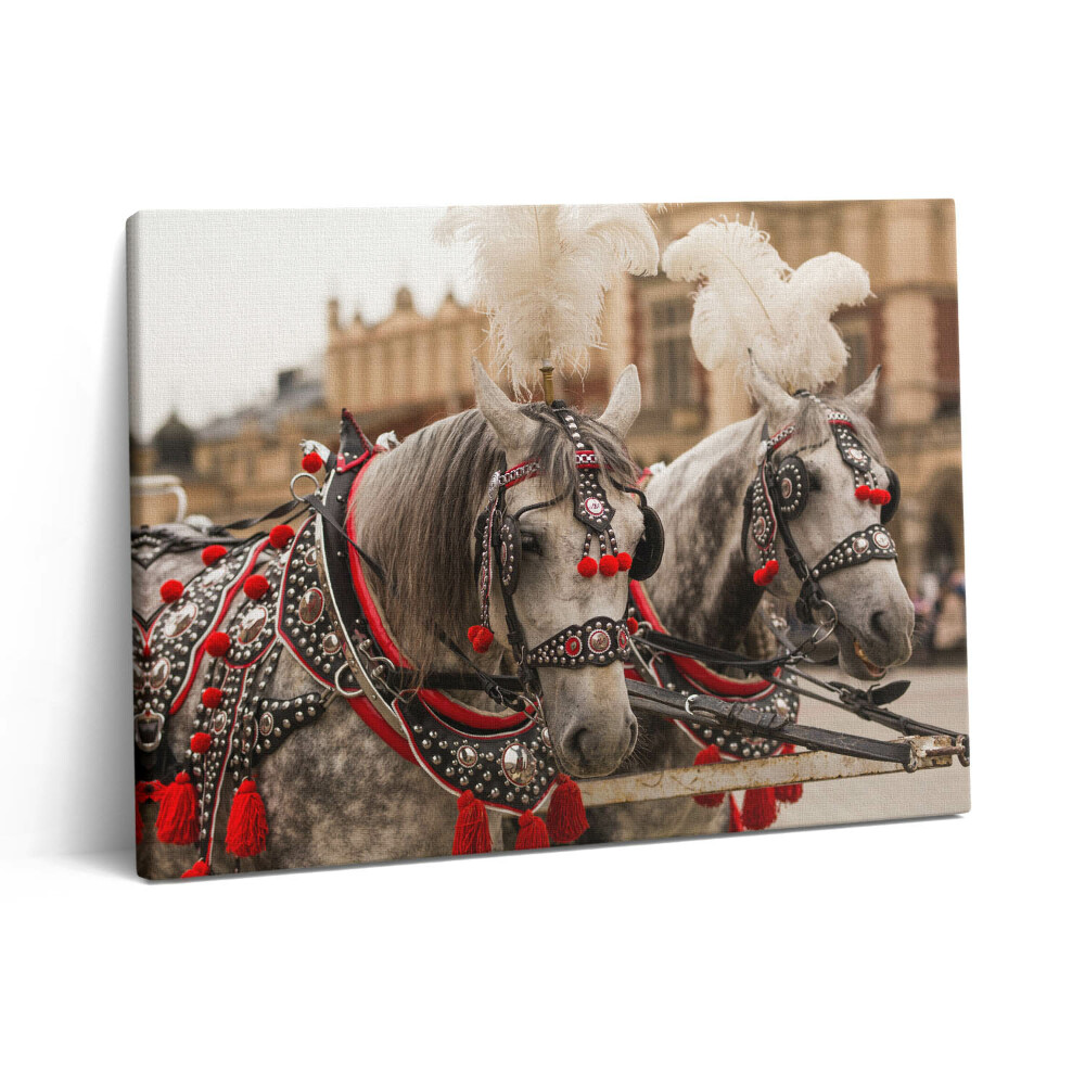 Vászonkép falra 80x60 Gyönyörű lovak Krakkóban