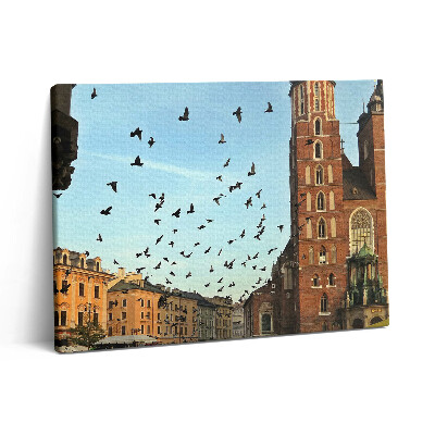 Vászonkép falra 80x60 Galambok Krakkó városában