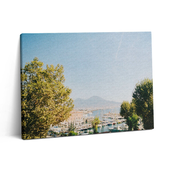 Vászonkép falra 80x60 Zöld fák Nápolyban
