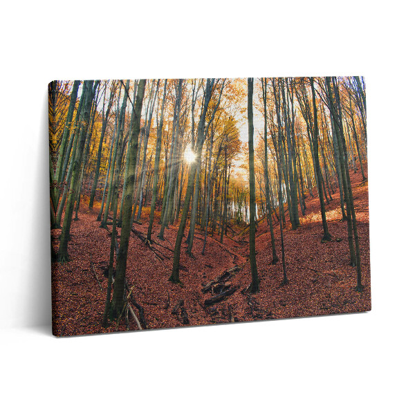 Vászonkép falra 80x60 Naplemente és fák