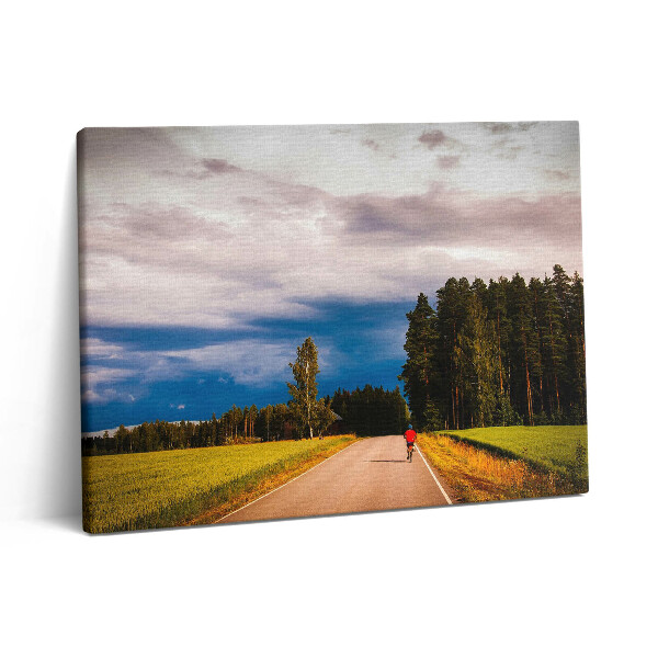 Vászonkép falra 80x60 Rendezett kerékpárút