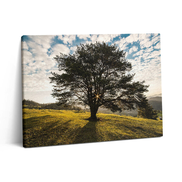 Vászonkép falra 80x60 Lombos fa egy dombon