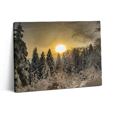 Vászonkép falra 80x60 Téli táj a Beszkidek hegységben