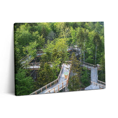 Vászonkép falra 80x60 Ösvény Krynica Zdrojban