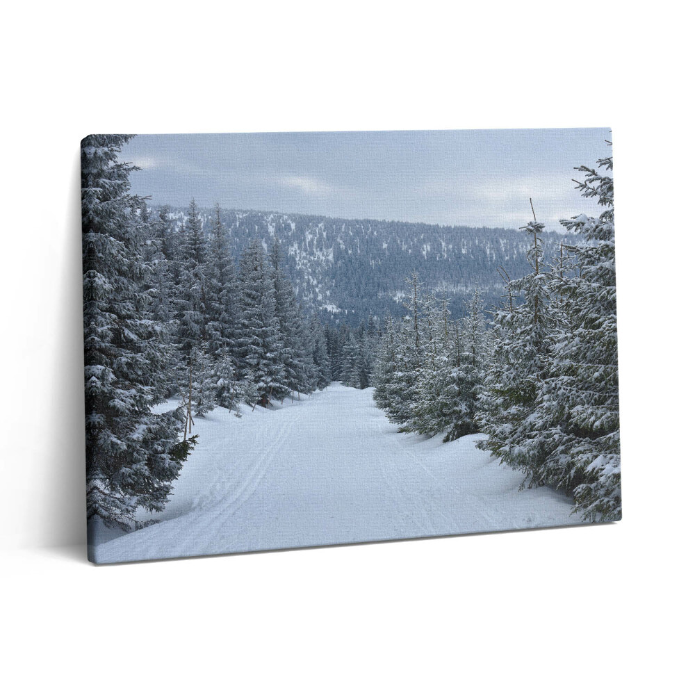 Vászonkép falra 80x60 Cseh óriás hegyek télen