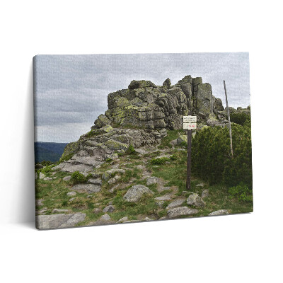 Vászonkép falra 80x60 Útvonal az Óriás-hegységben