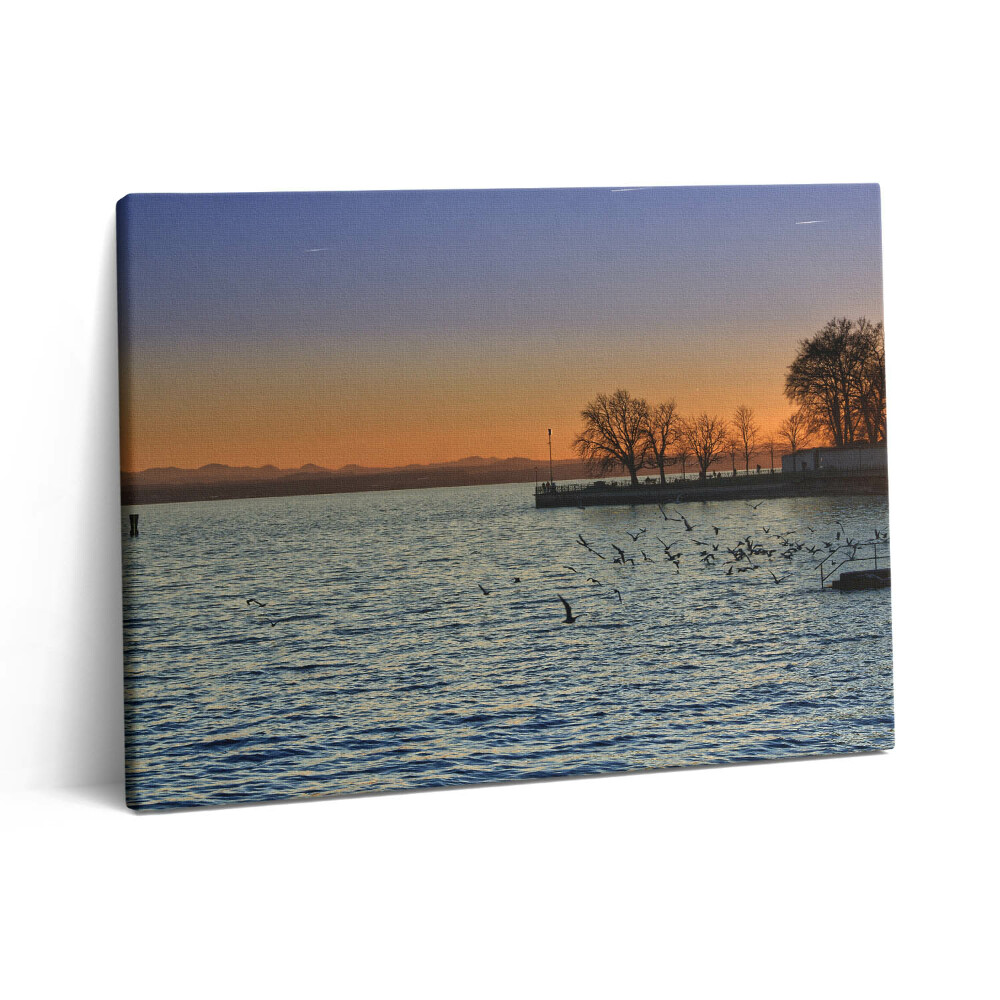 Vászonkép falra 80x60 Bodeni-tó Németországban