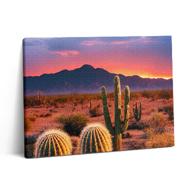 Vászonkép falra 80x60 Naplemente a sivatagban