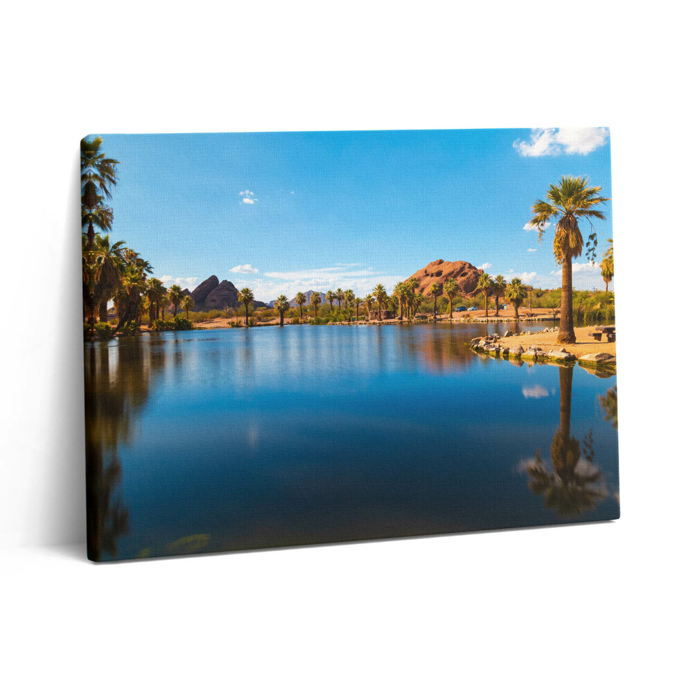 Vászonkép falra 80x60 A Papago park tájképe
