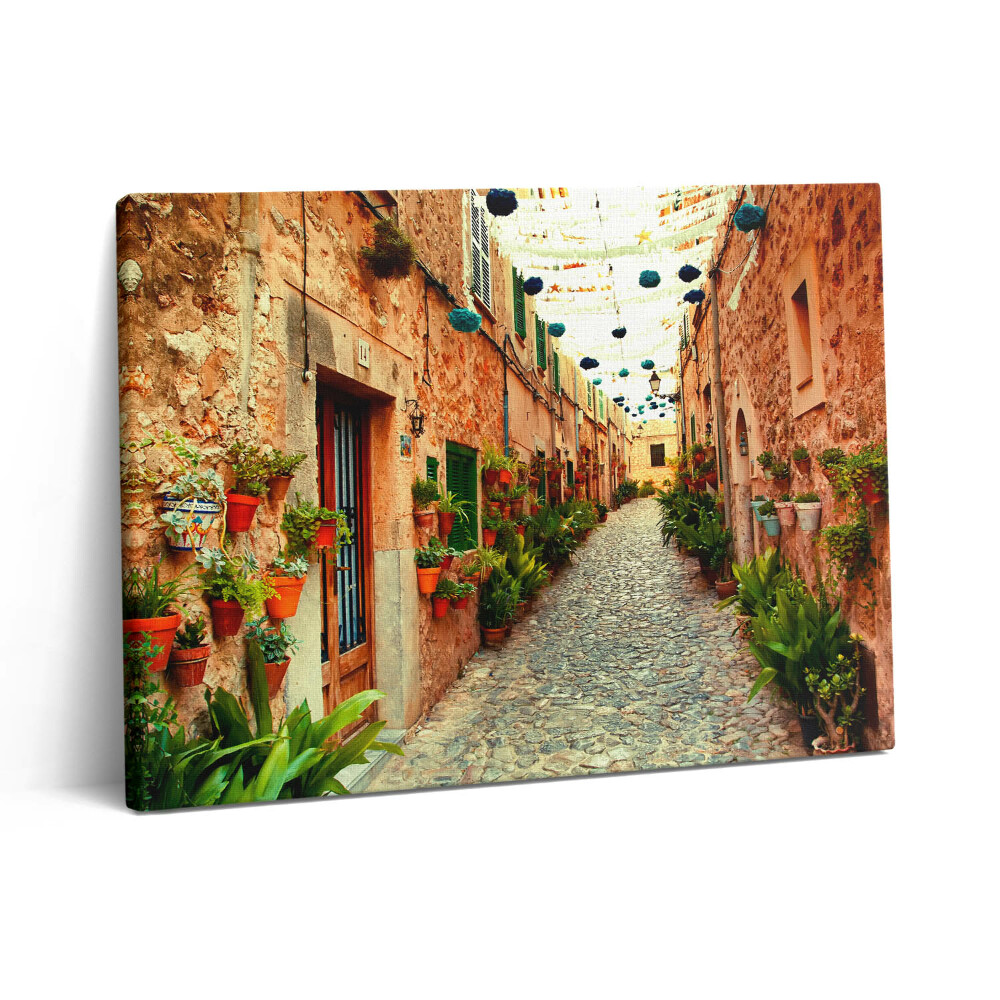 Vászonkép falra 80x60 Utca Valldemossa faluban