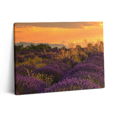 Vászonkép falra 80x60 Levendula rét Provence Franciaország