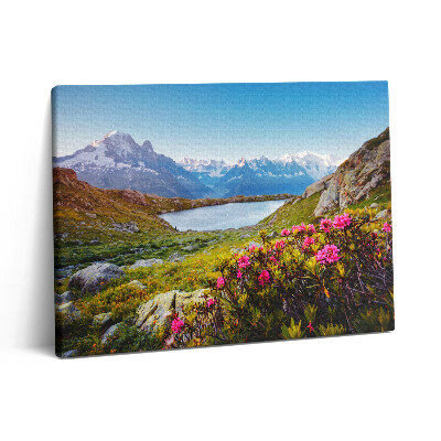 Vászonkép falra 80x60 Mont Blanc Chamonix-i gleccser