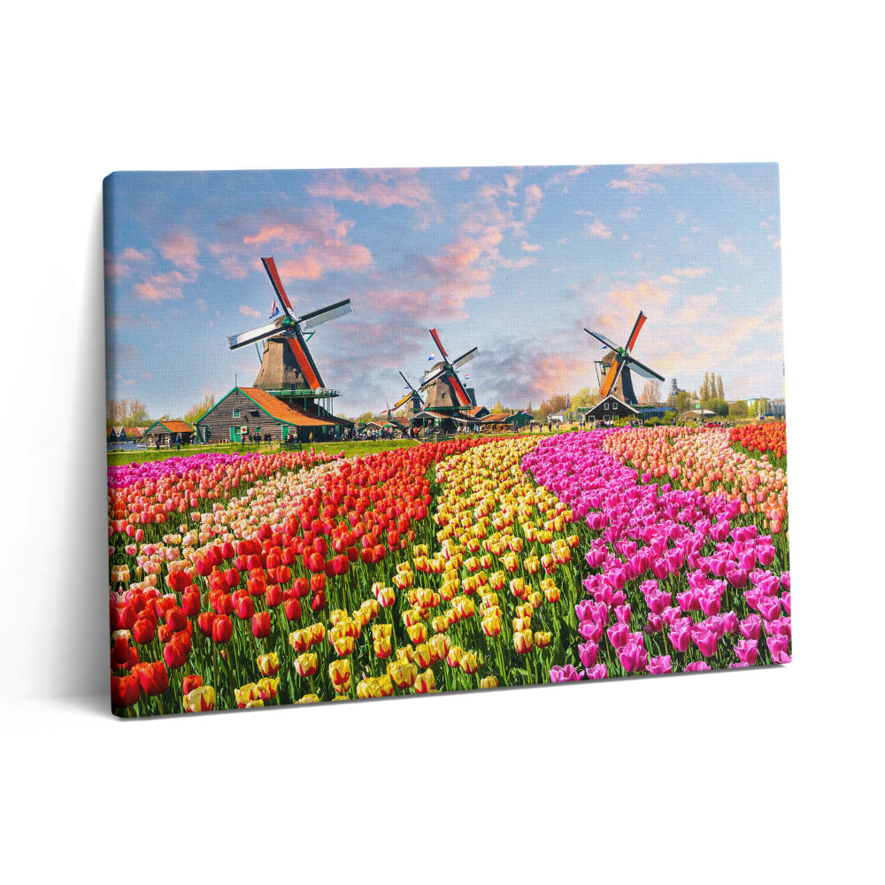Vászonkép falra 80x60 Tájkép tulipánokkal Hollandia
