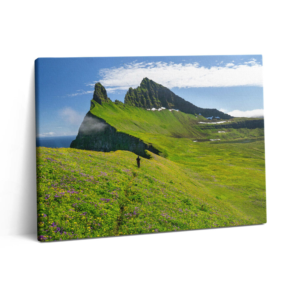 Vászonkép falra 80x60 Hornstrandir természetvédelmi terület Izlandon