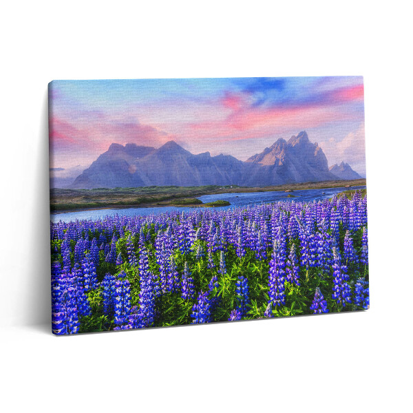 Vászonkép falra 80x60 Levendulamezők - Izland