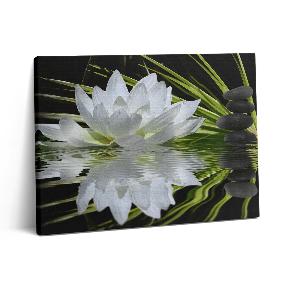 Vászonkép falra 80x60 Tavirózsa és levelek