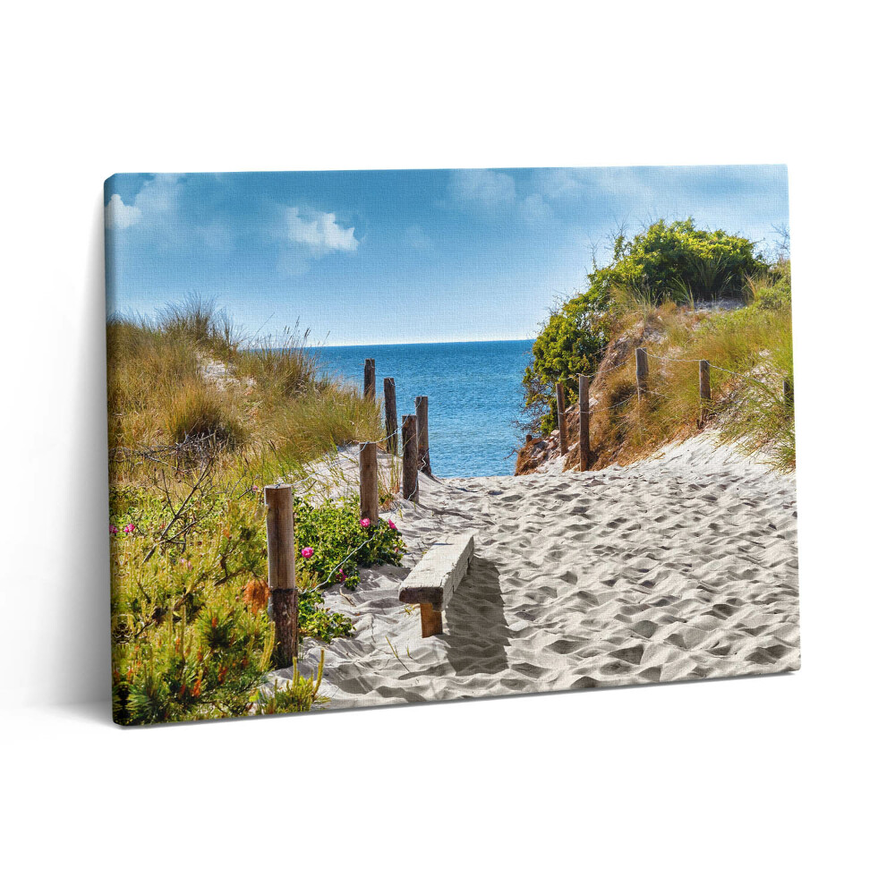 Vászonkép falra 80x60 Homokos út a tengerpartra és a tengerhez