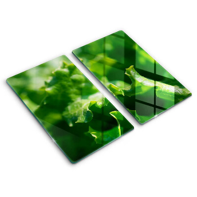 Tűzhelyvédő üveglap 2 darab Salátalevelek