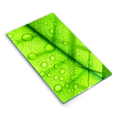 Tűzhelyvédő Közelkép egy levélről