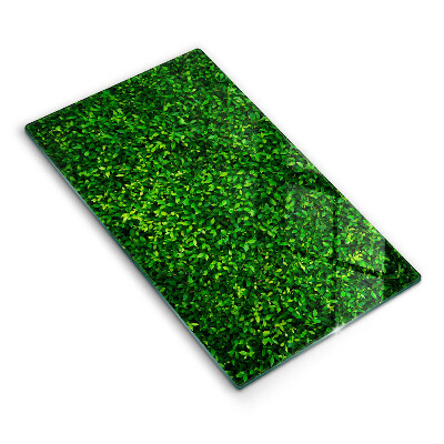 Tűzhelyvédő Kis levél növény