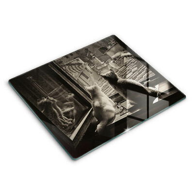 Főzőlap védő üveglap 60x52 cm Macskák város és ablak