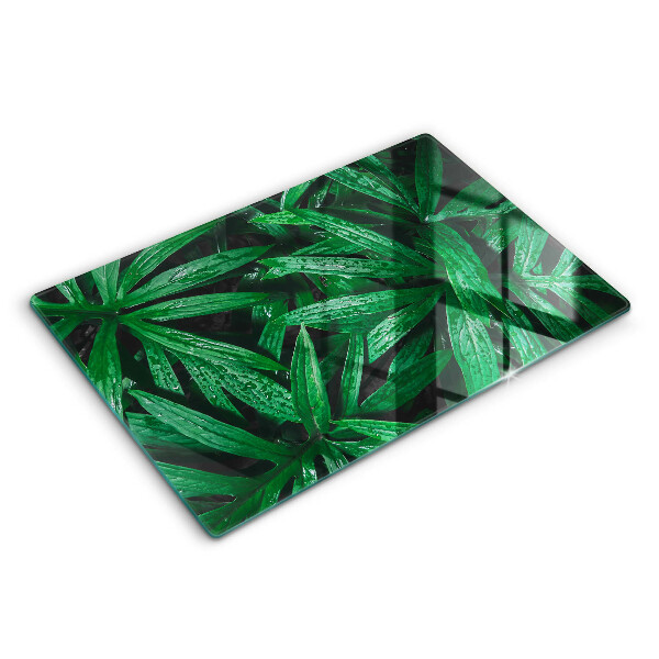 Üveg tűzhelyvédő 80x52 cm Növények levelei