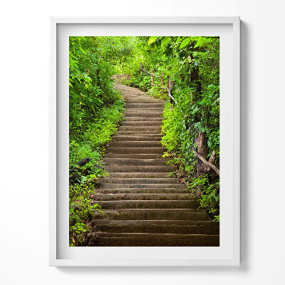 Keretezett kép Lépcsőház Az erdő közepén