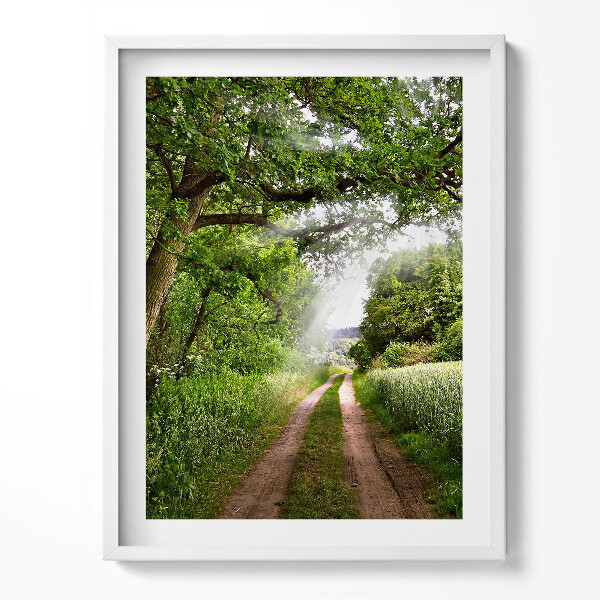 Keretezett kép Út, fák és napsütés