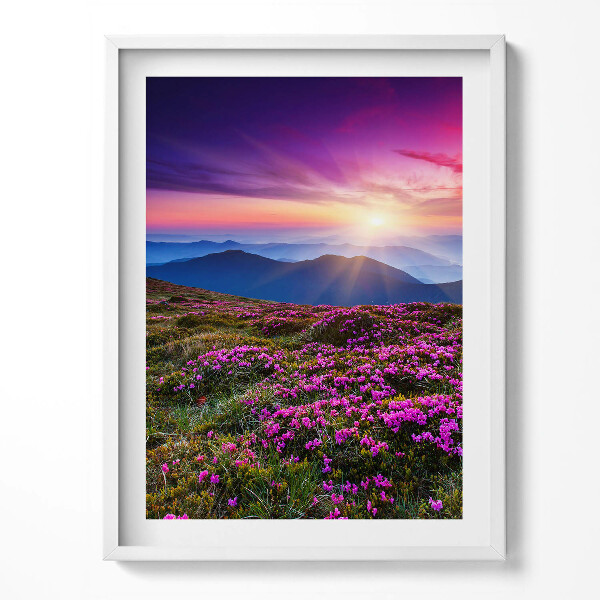 Keretezett kép Napfelkelte virágai