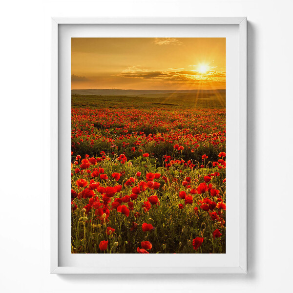 Keretezett kép Mákvirágos rét