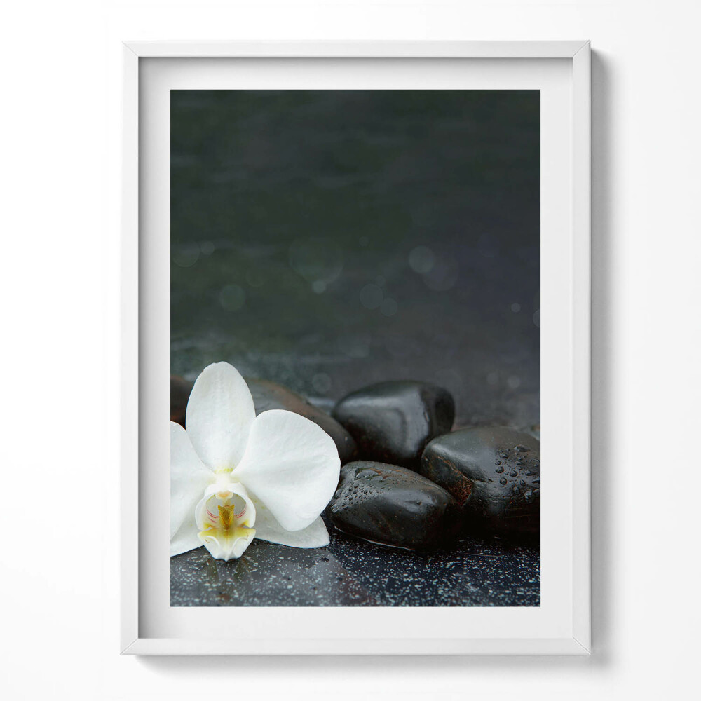 Kép keretben Fehér virágos zen kövek