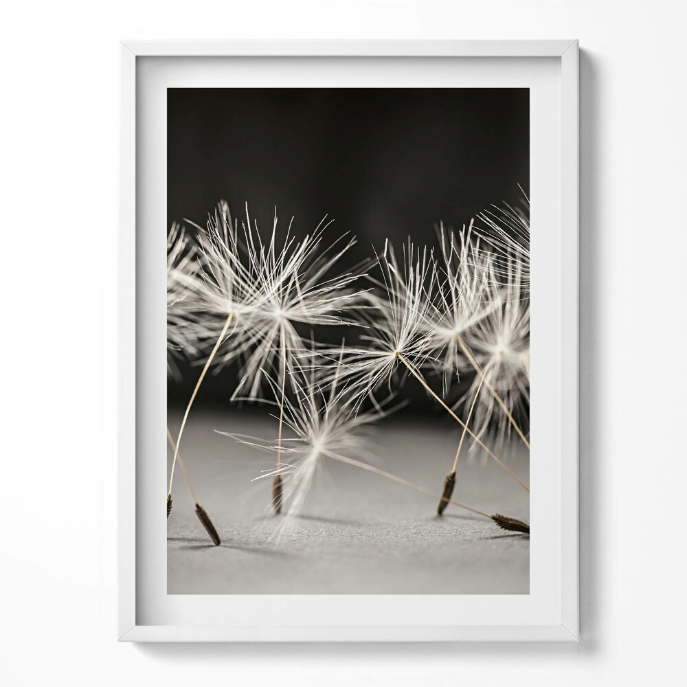 Kép keretben Finom pitypangpollen