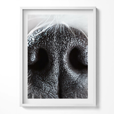 Keretezett kép Állati orr közelről