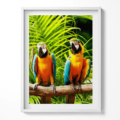 Kép keretben Két színes ara papagáj a dzsungelben