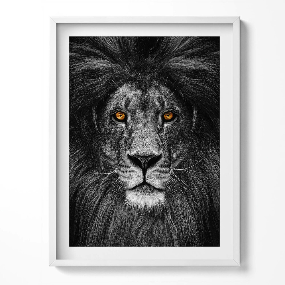 Keretezett kép Fekete-fehér oroszlánfej